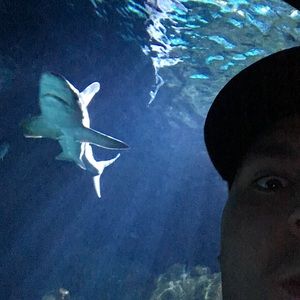 Meet your Posher, Chase